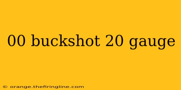 00 buckshot 20 gauge