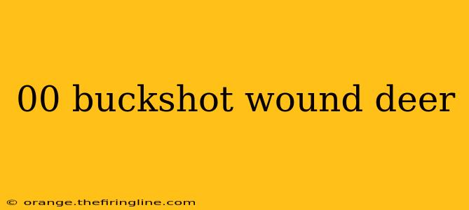 00 buckshot wound deer