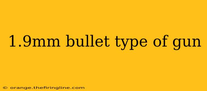 1.9mm bullet type of gun