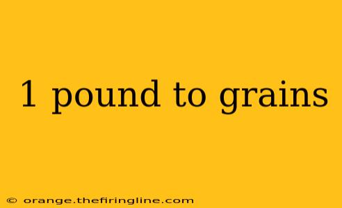 1 pound to grains