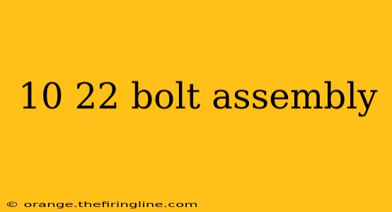 10 22 bolt assembly