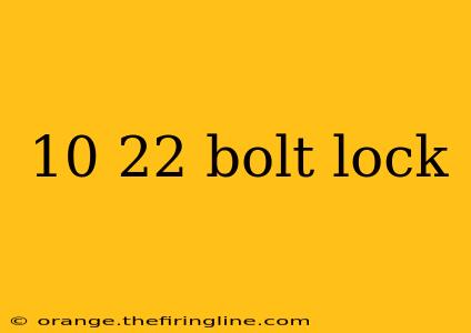 10 22 bolt lock