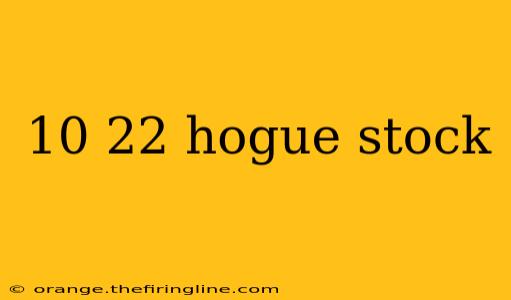 10 22 hogue stock