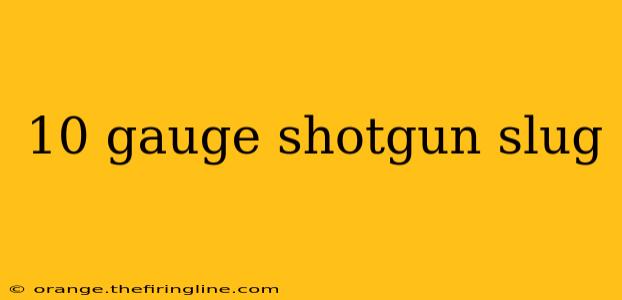 10 gauge shotgun slug