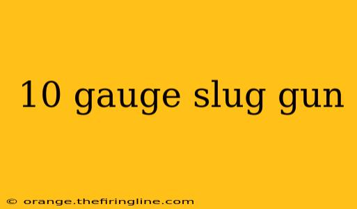 10 gauge slug gun