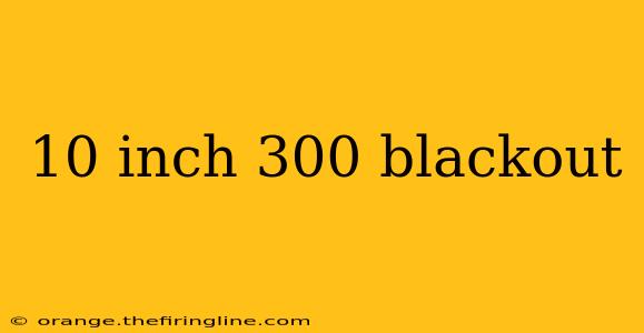 10 inch 300 blackout