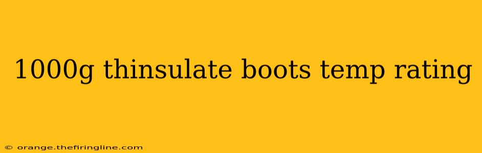 1000g thinsulate boots temp rating