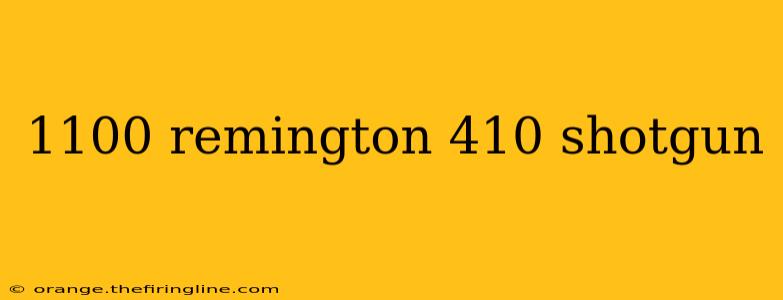 1100 remington 410 shotgun