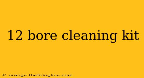 12 bore cleaning kit