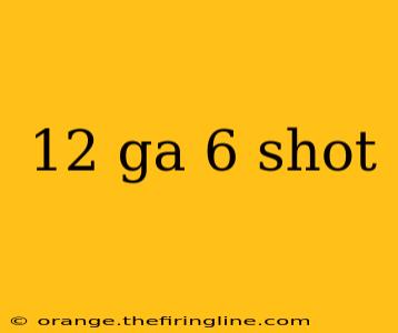 12 ga 6 shot