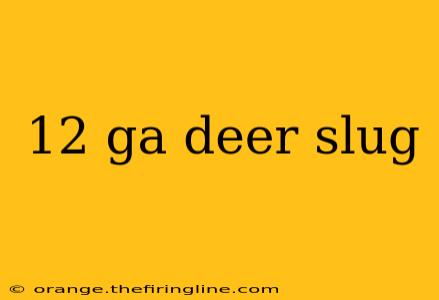 12 ga deer slug