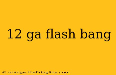 12 ga flash bang