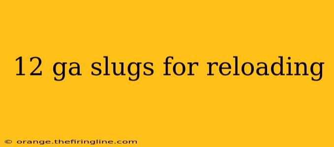 12 ga slugs for reloading