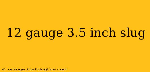 12 gauge 3.5 inch slug