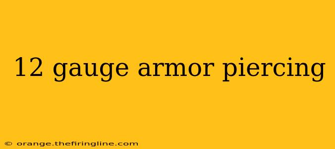 12 gauge armor piercing