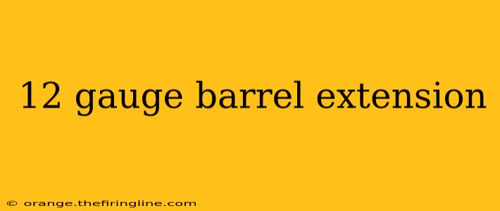 12 gauge barrel extension