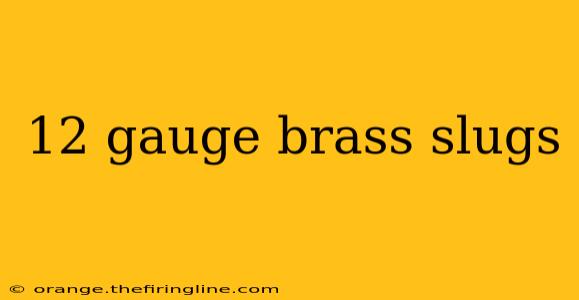 12 gauge brass slugs