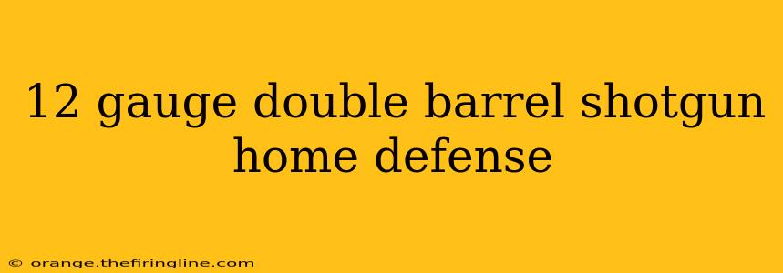 12 gauge double barrel shotgun home defense