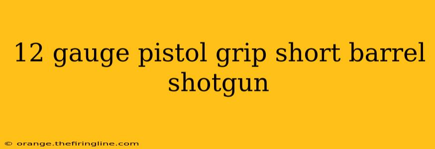 12 gauge pistol grip short barrel shotgun