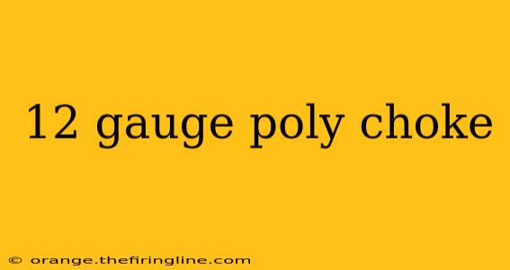 12 gauge poly choke