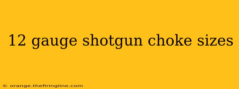 12 gauge shotgun choke sizes