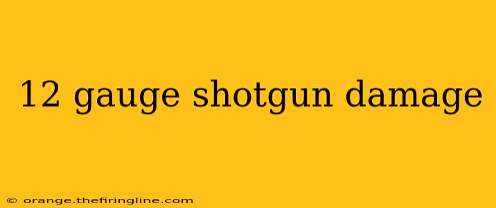 12 gauge shotgun damage