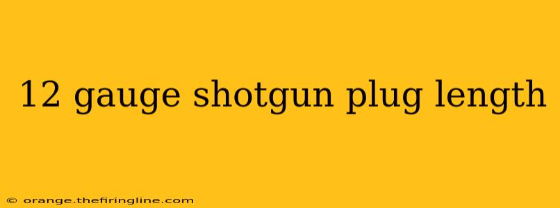 12 gauge shotgun plug length