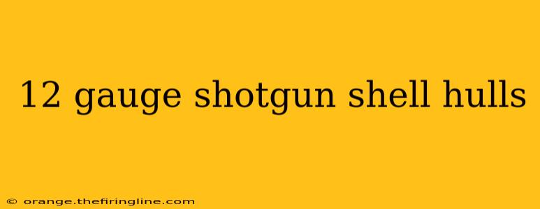 12 gauge shotgun shell hulls