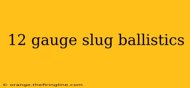 12 gauge slug ballistics