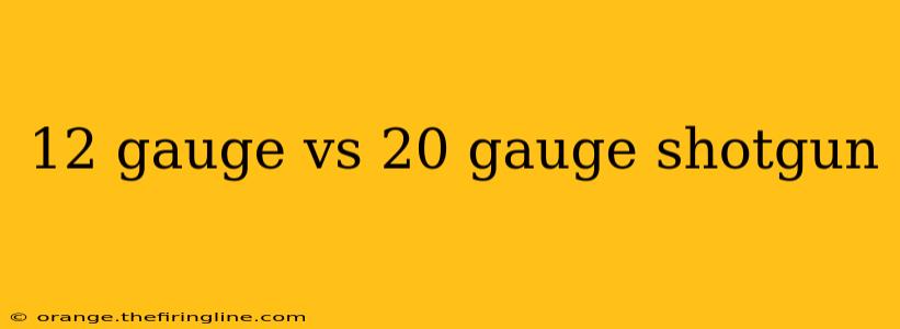 12 gauge vs 20 gauge shotgun