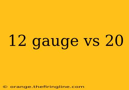 12 gauge vs 20