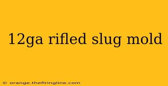 12ga rifled slug mold