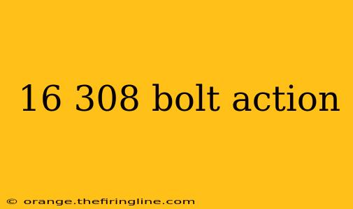 16 308 bolt action