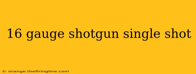 16 gauge shotgun single shot