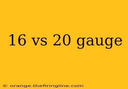 16 vs 20 gauge