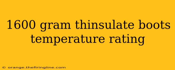 1600 gram thinsulate boots temperature rating