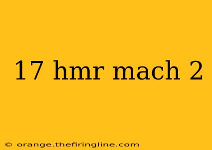 17 hmr mach 2