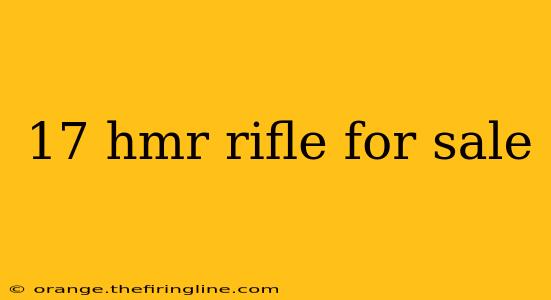 17 hmr rifle for sale