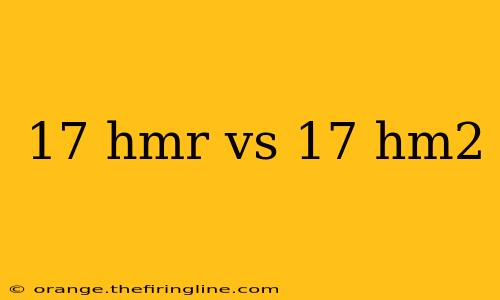 17 hmr vs 17 hm2