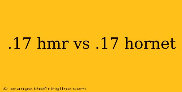 .17 hmr vs .17 hornet