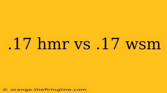 .17 hmr vs .17 wsm