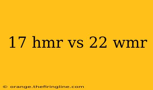 17 hmr vs 22 wmr