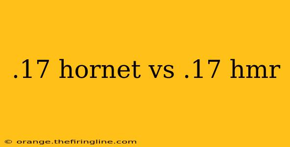 .17 hornet vs .17 hmr