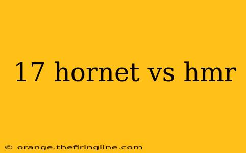 17 hornet vs hmr