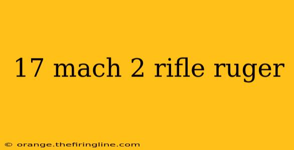 17 mach 2 rifle ruger