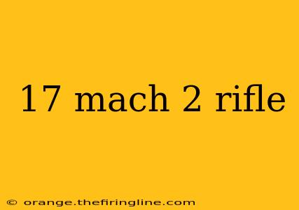 17 mach 2 rifle