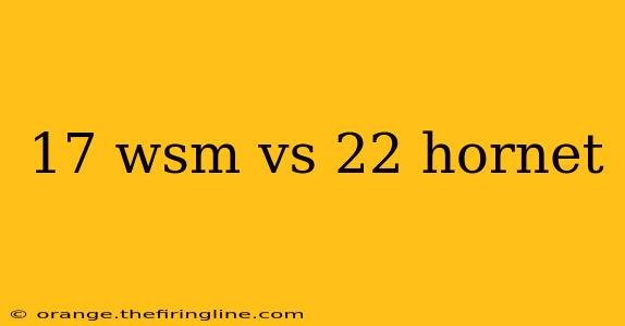 17 wsm vs 22 hornet