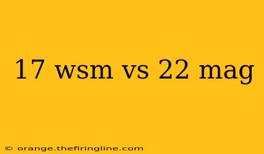 17 wsm vs 22 mag