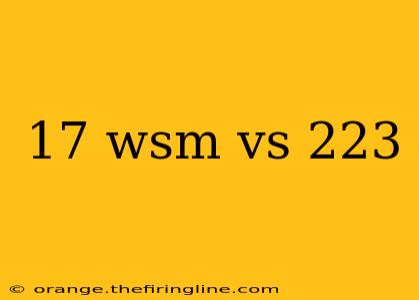 17 wsm vs 223