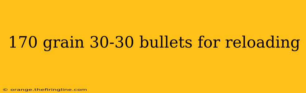 170 grain 30-30 bullets for reloading